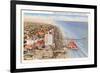 Beach and Seawall, Galveston, Texas-null-Framed Art Print