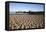 Beach and Stearns Wharf-Stuart-Framed Stretched Canvas