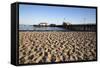 Beach and Stearns Wharf-Stuart-Framed Stretched Canvas