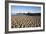 Beach and Stearns Wharf-Stuart-Framed Photographic Print