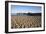 Beach and Stearns Wharf-Stuart-Framed Photographic Print