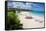 Beach and Sunshades, Long Bay, Antigua, Leeward Islands, West Indies, Caribbean, Central America-Frank Fell-Framed Stretched Canvas