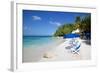 Beach and Sunshades, Long Bay, Antigua, Leeward Islands, West Indies, Caribbean, Central America-Frank Fell-Framed Photographic Print