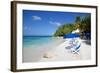 Beach and Sunshades, Long Bay, Antigua, Leeward Islands, West Indies, Caribbean, Central America-Frank Fell-Framed Photographic Print