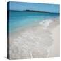 Beach and Surf-null-Stretched Canvas