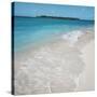 Beach and Surf-null-Stretched Canvas
