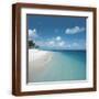 Brown Frame
