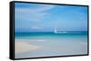 Beach and Tropical Sea-Ronnachai-Framed Stretched Canvas