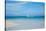 Beach and Tropical Sea-Ronnachai-Stretched Canvas
