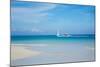 Beach and Tropical Sea-Ronnachai-Mounted Photographic Print