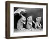 Beach Animals-null-Framed Photographic Print