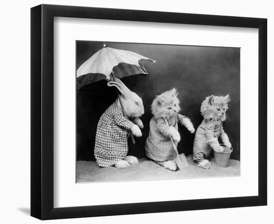 Beach Animals-null-Framed Photographic Print