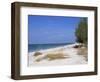 Beach, Anna Maria Island, Gulf Coast, Florida, United States of America, North America-Fraser Hall-Framed Photographic Print