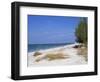 Beach, Anna Maria Island, Gulf Coast, Florida, United States of America, North America-Fraser Hall-Framed Photographic Print