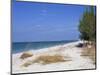 Beach, Anna Maria Island, Gulf Coast, Florida, United States of America, North America-Fraser Hall-Mounted Photographic Print