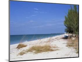 Beach, Anna Maria Island, Gulf Coast, Florida, United States of America, North America-Fraser Hall-Mounted Photographic Print