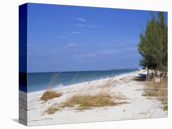 Beach, Anna Maria Island, Gulf Coast, Florida, United States of America, North America-Fraser Hall-Stretched Canvas