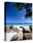 Beach, Anse Lazio, Island of Praslin, Seychelles, Indian Ocean, Africa-Lee Frost-Stretched Canvas