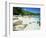 Beach, Anse Lazio, Praslin Island, Seychelles, Indian Ocean, Africa-Lee Frost-Framed Photographic Print