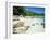 Beach, Anse Lazio, Praslin Island, Seychelles, Indian Ocean, Africa-Lee Frost-Framed Photographic Print