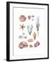 Beach Assortment-Sandra Jacobs-Framed Giclee Print