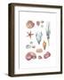 Beach Assortment-Sandra Jacobs-Framed Giclee Print