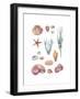 Beach Assortment-Sandra Jacobs-Framed Giclee Print