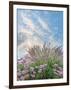 Beach Astor and Pennisetum Grass-Donald Paulson-Framed Giclee Print