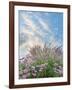 Beach Astor and Pennisetum Grass-Donald Paulson-Framed Giclee Print