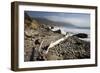 Beach at Andrew Molera State Park-Stuart-Framed Photographic Print