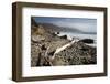 Beach at Andrew Molera State Park-Stuart-Framed Photographic Print