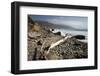 Beach at Andrew Molera State Park-Stuart-Framed Photographic Print