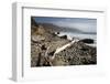 Beach at Andrew Molera State Park-Stuart-Framed Photographic Print