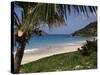 Beach at Anse Des Flamands, St. Barts (St. Barthelemy), West Indies, Caribbean, Central America-Ken Gillham-Stretched Canvas