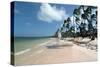 Beach at Barcelo Palace, Bavaro, Dominican Republic-Natalie Tepper-Stretched Canvas