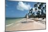 Beach at Barcelo Palace, Bavaro, Dominican Republic-Natalie Tepper-Mounted Photo