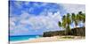 Beach at Bottom Bay, St. Philip, Barbados, Caribbean-null-Stretched Canvas