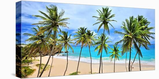 Beach at Bottom Bay, St. Philip, Barbados, Caribbean-null-Stretched Canvas