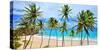 Beach at Bottom Bay, St. Philip, Barbados, Caribbean-null-Stretched Canvas