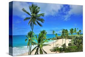 Beach at Bottom Bay, St. Philip, Barbados, Caribbean-null-Stretched Canvas