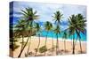 Beach at Bottom Bay, St. Philip, Barbados, Caribbean-null-Stretched Canvas