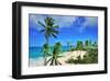 Beach at Bottom Bay, St. Philip, Barbados, Caribbean-null-Framed Art Print