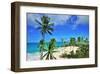 Beach at Bottom Bay, St. Philip, Barbados, Caribbean-null-Framed Art Print