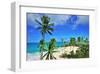 Beach at Bottom Bay, St. Philip, Barbados, Caribbean-null-Framed Art Print