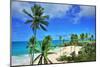 Beach at Bottom Bay, St. Philip, Barbados, Caribbean-null-Mounted Art Print