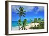 Beach at Bottom Bay, St. Philip, Barbados, Caribbean-null-Framed Art Print