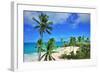 Beach at Bottom Bay, St. Philip, Barbados, Caribbean-null-Framed Art Print