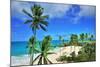 Beach at Bottom Bay, St. Philip, Barbados, Caribbean-null-Mounted Art Print