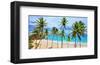 Beach at Bottom Bay, St. Philip, Barbados, Caribbean-null-Framed Art Print