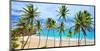 Beach at Bottom Bay, St. Philip, Barbados, Caribbean-null-Mounted Art Print